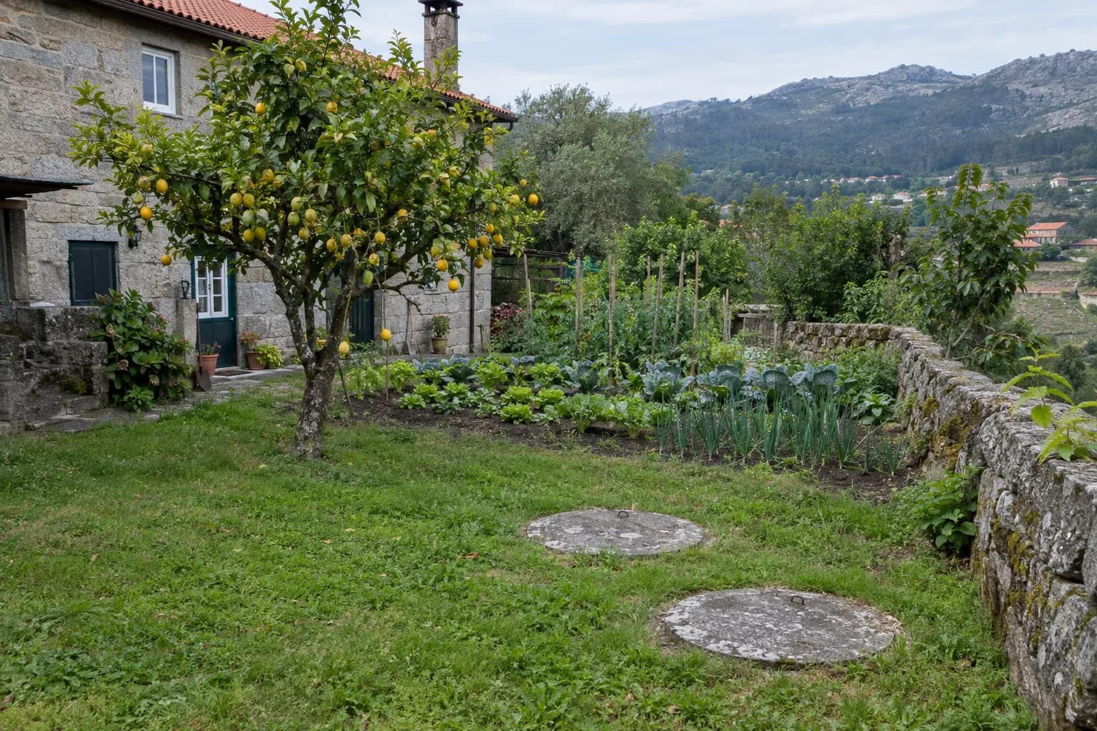 Jardim das traseiras de uma casa rural de pedra, com duas tampas de betão redondas ao nível da relva, um limoeiro e uma horta